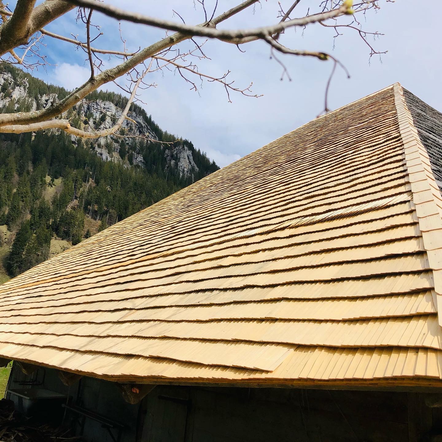 Vogelhaus V16 XXL Mit Holzschindeldach - Riesig 60cm Durchmesser Fertig Montiert